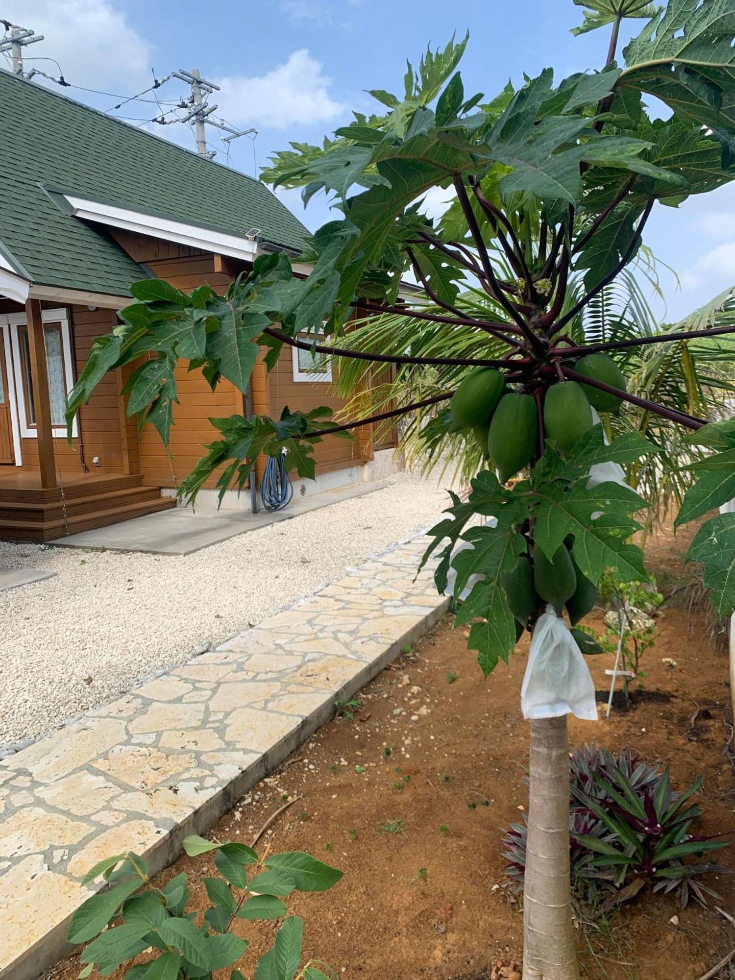 島ログ Villa Miyakojima  Bagian luar foto